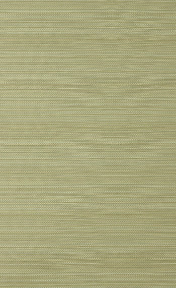 Surpass | Jasper - 1