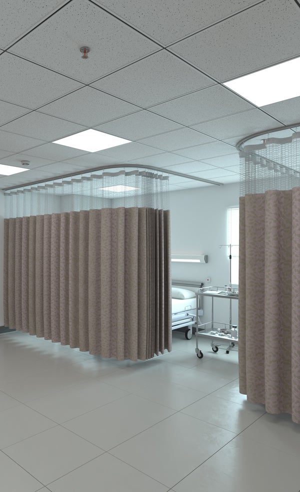 Secret Garden | Thistle - 2