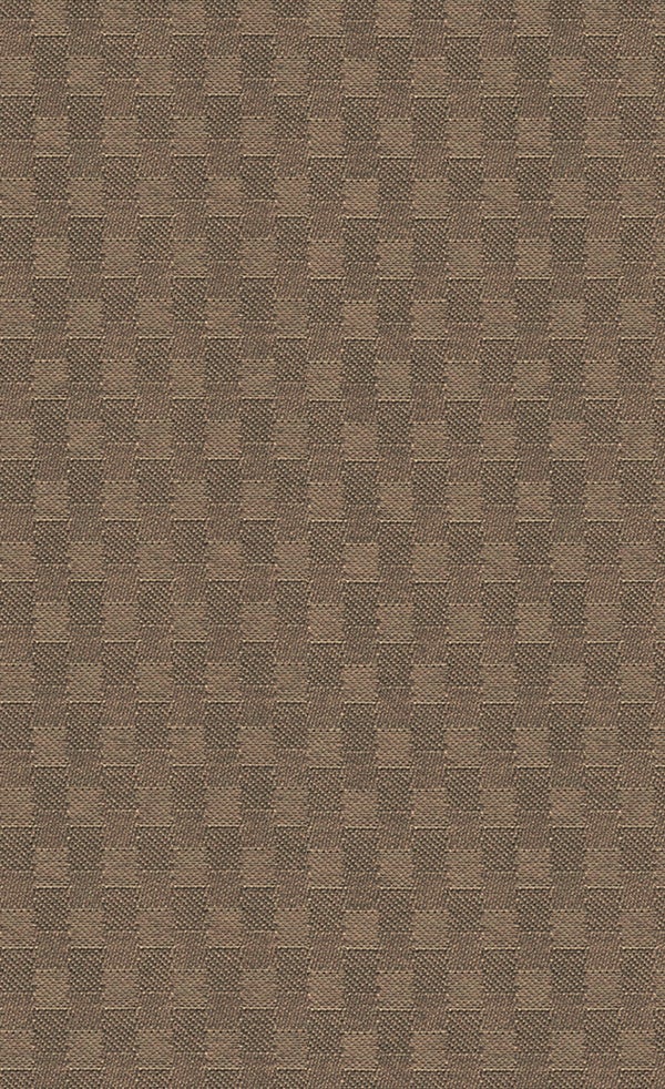 Spring Frost | Chocolate