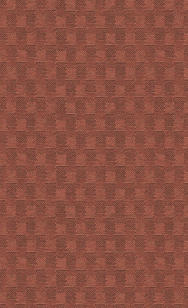 Spring Frost | Cinnamon