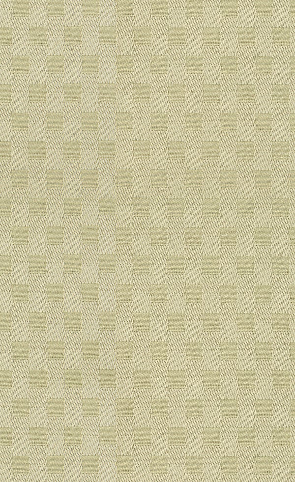 Spring Frost | Kiwi