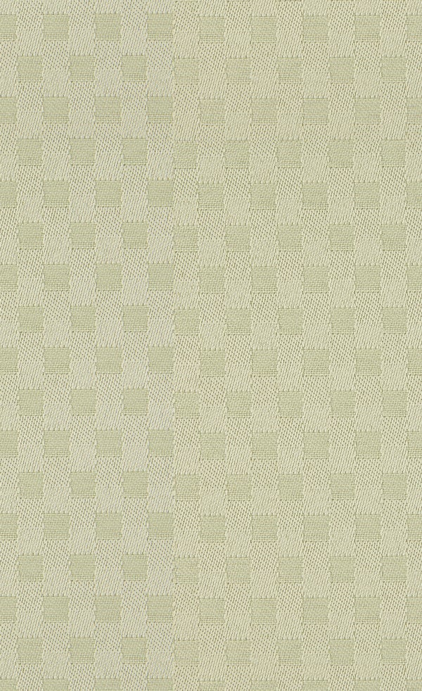 Spring Frost | Palm