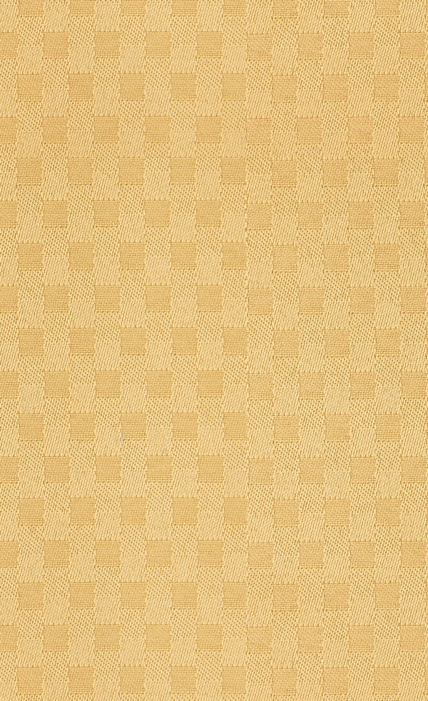Spring Frost | Raffia