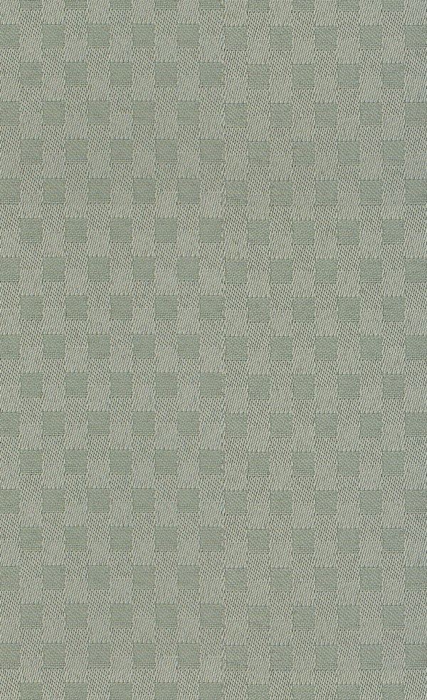 Spring Frost | Willow