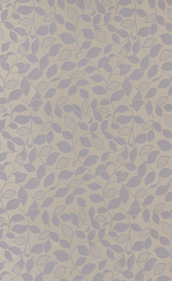 Secret Garden | Titanium