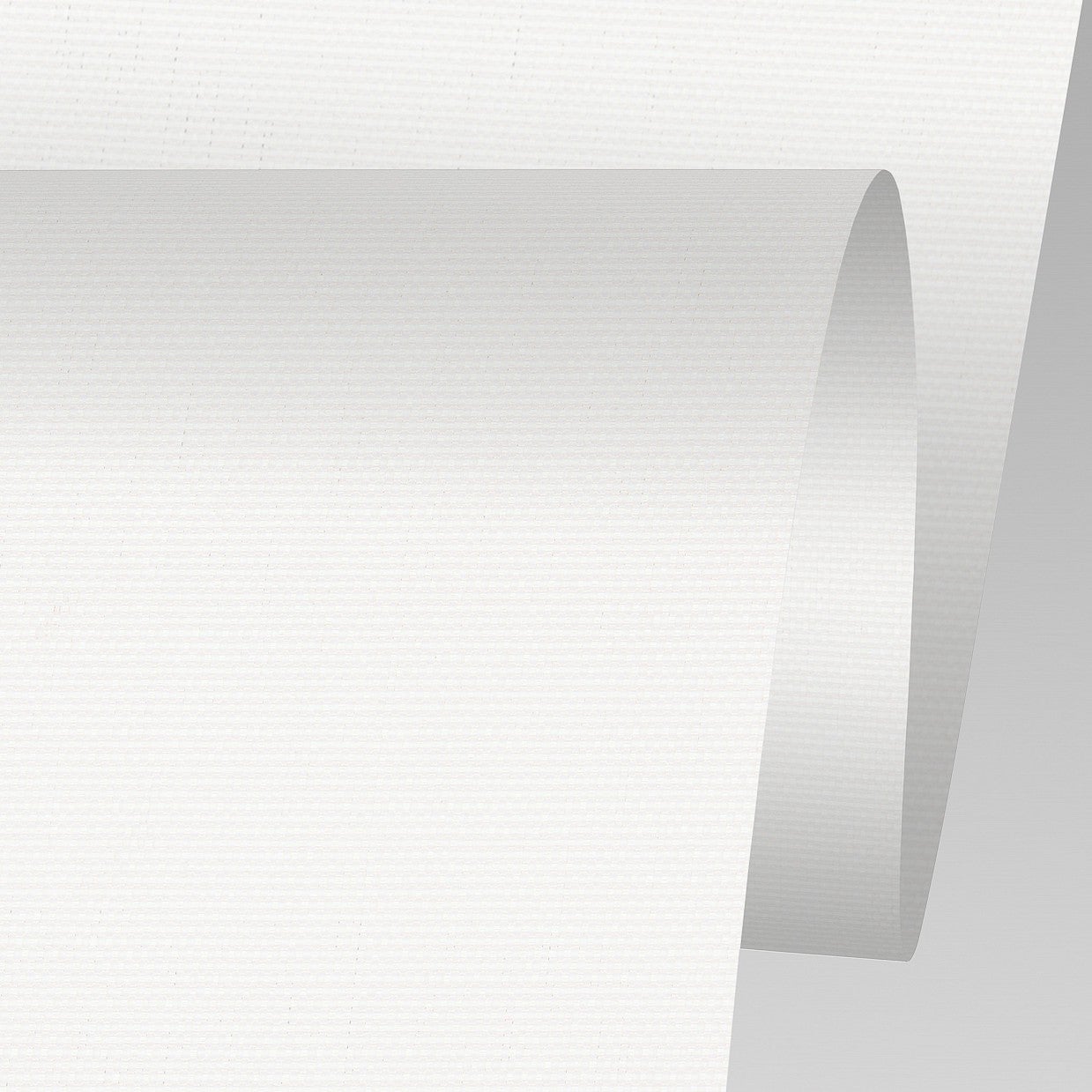 GlacierScreen+ | White/White