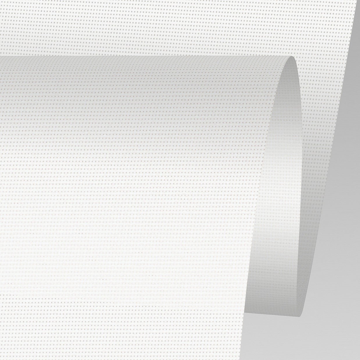 GlacierScreen+ | White/White - 3