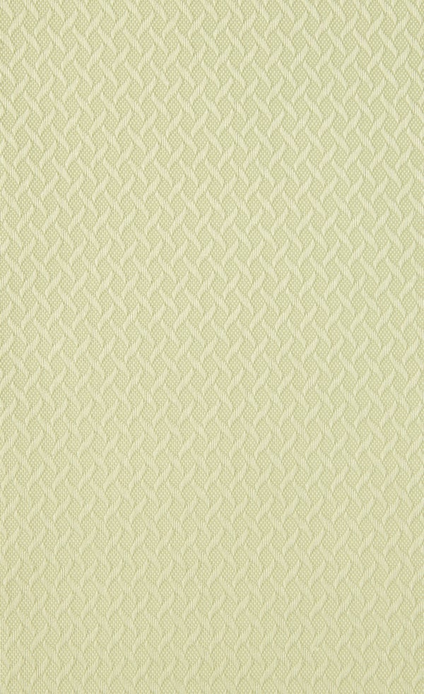 Shower Shield | Palm