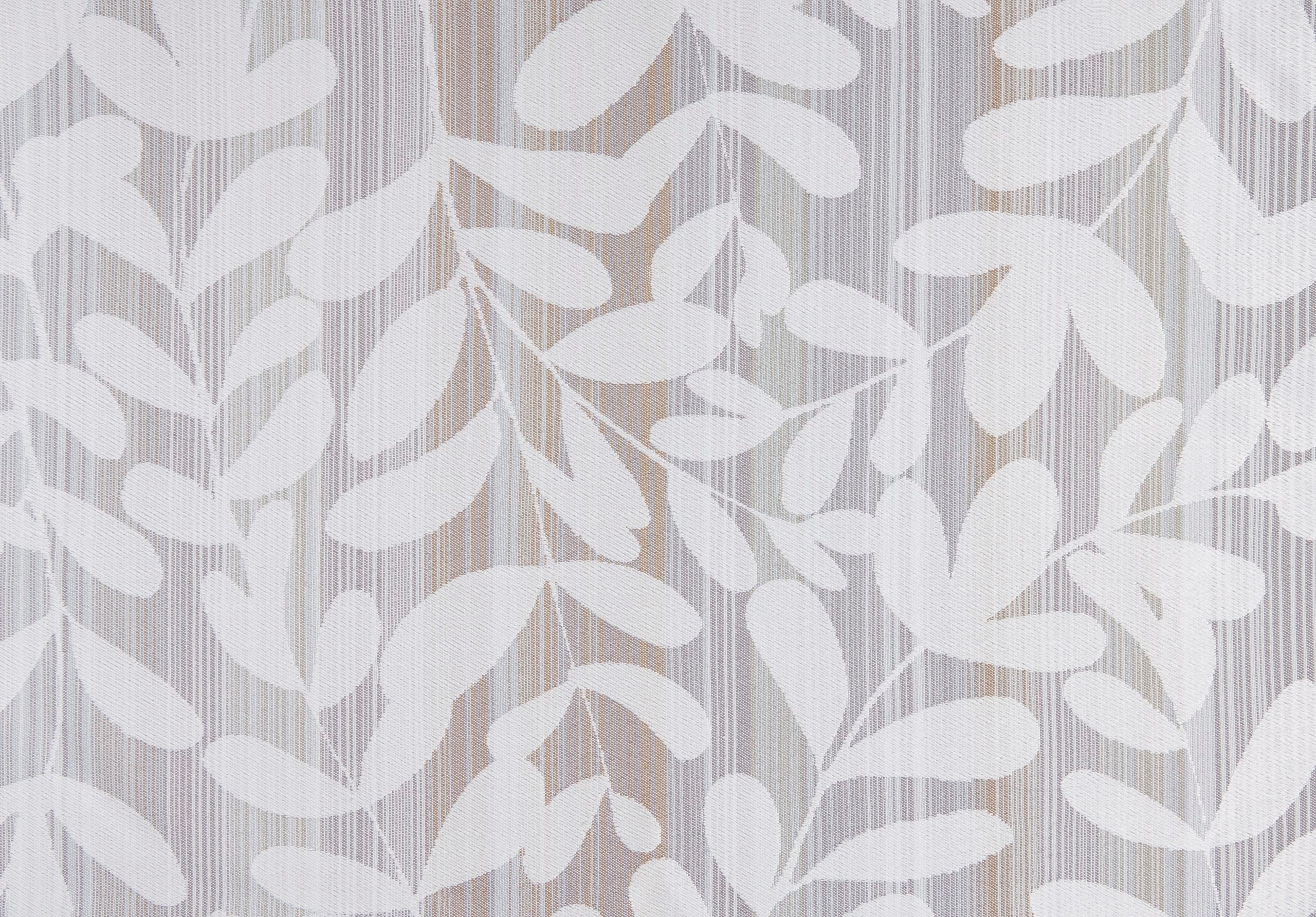 Trellis | Umbra