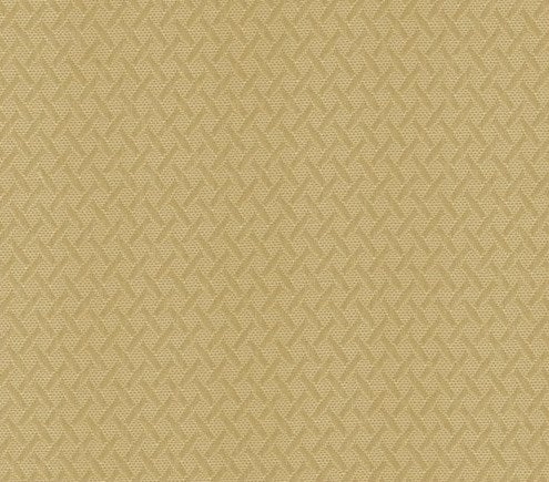 Shower Shield | Buff